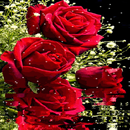 Roses Reflection LWP APK