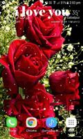 Roses Reflection LWP screenshot 1