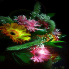 Shining Flowers LWP icon