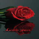 Shining Rose Live Wallpaper APK