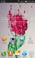 پوستر Splash Red Rose LWP