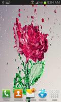 Splash Red Rose LWP 스크린샷 1