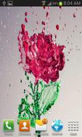 Splash Red Rose LWP screenshot 1