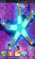 Star Light Fish LWP capture d'écran 1