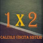 Calcolo Vincita Sistemi आइकन