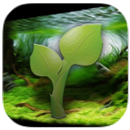 Aquarium Plants-APK