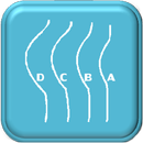 Bra Cup Size APK