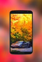 Autumn Wallpapers HD 2017 ภาพหน้าจอ 1