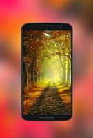 Autumn Wallpapers HD 2017 ภาพหน้าจอ 2