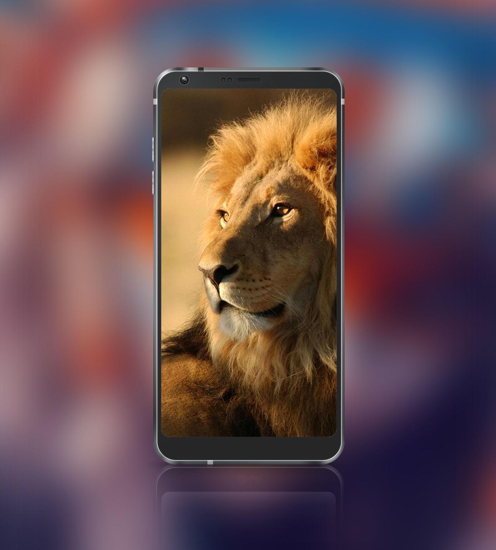 Android 用の 18 9 Wallpapers Ultra Widescreen Hd Apk をダウンロード Android 用の 18 9 Wallpapers Ultra Widescreen Hd Apk をダウンロード