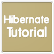 Learn Hibernate