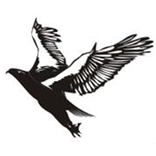 Daily Udaan Urdu Newspaper Jammu Kashmir