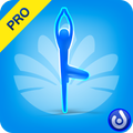 Yoga for Body Toning II (PRO)