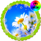Daisy XpeRian Theme icône