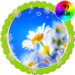 Daisy XpeRian Theme
