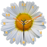 Daisy Flower Clock-icoon