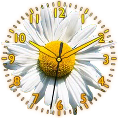 Daisy Flower Clock APK download