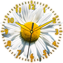APK Daisy Flower Clock