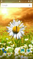 Daisy Flower Clock Plakat