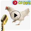 الدجاجة ترقص وتغني مضحك aplikacja