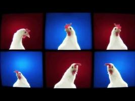 الدجاجة ترقص وتغني Screenshot 3