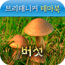 브리태니커 테마북-버섯 APK