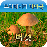 브리태니커 테마북-버섯 أيقونة