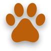 Upload Your Pet APK