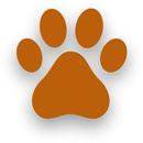 Upload Your Pet APK