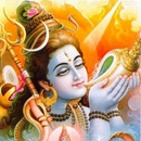 APK Shiv Parvati Bhajans