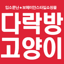 다락방고양이 aplikacja