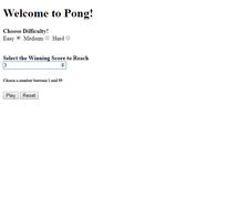 Pong Game screenshot 1