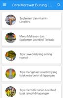 Cara Merawat Burung Lovebird screenshot 2