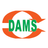 DAMS Cloud APK