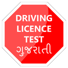 Driving Licence Test-icoon