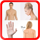 Learn Body Parts for Kids Free APK
