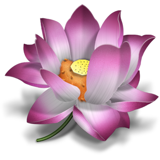 Lotus Wallpapers HD