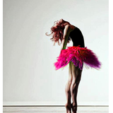 DanceVisions Zeichen