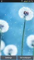 Dandelion Live Wallpaper 截圖 2