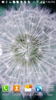 Dandelion Live Wallpaper capture d'écran 1