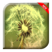 Dandelion Fly Wallpaper