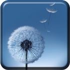 Dandelion S7 live wallpaper Zeichen