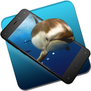 Belle Dolphins Live Wallpaper APK