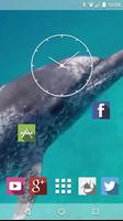Дельфины Подводный Живые Обои скриншот 1