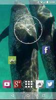 돌고래 수중 라이브 배경 화면 스크린샷 2