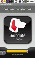 Soundbite Radio ポスター