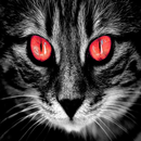 Horror Stories - Chat Stories EN APK