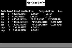 Net Stat - Netstat captura de pantalla 1