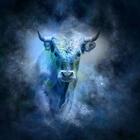 Taurus Facts आइकन