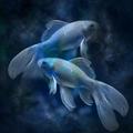 ”Pisces Facts